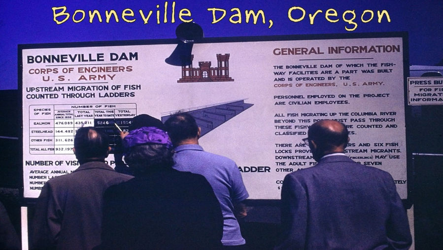 Bonneville Dam - Film processed Apr, 1961
