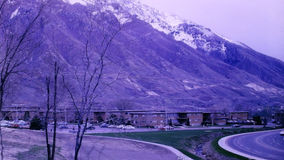 1965