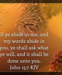 Ask and it shall be done if you abide in God's Word