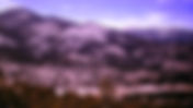 Estes Park - Film processed Apr, 1963 vintage photo