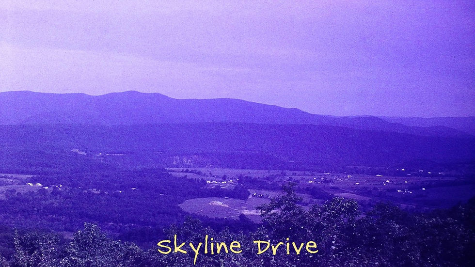 Skyline Drive - Film processed Sep, 1962