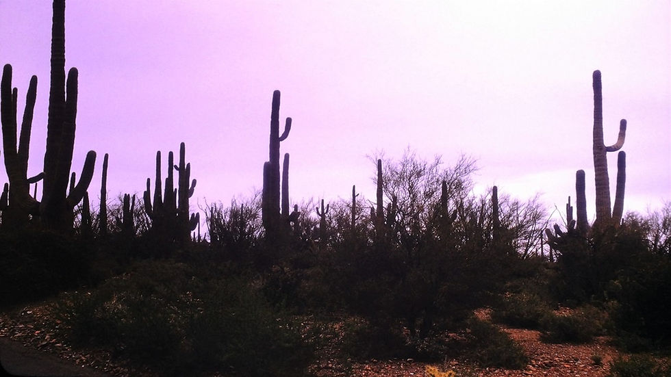 Across the desert in Arizona - Film processed Apr, 1963