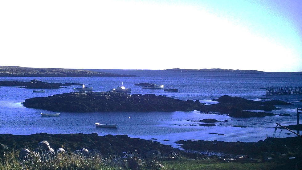 Long Island, New York - Film processed Nov, 1964 (4)