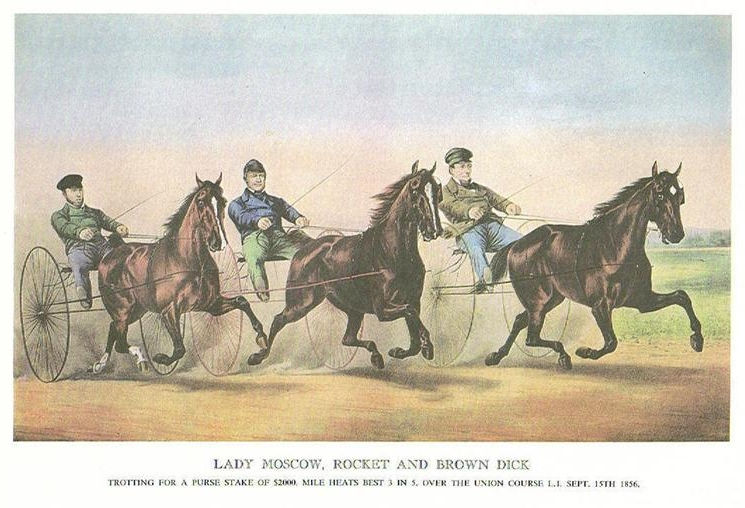 LADY MOSCOW, ROCKET AND BROWN DICK