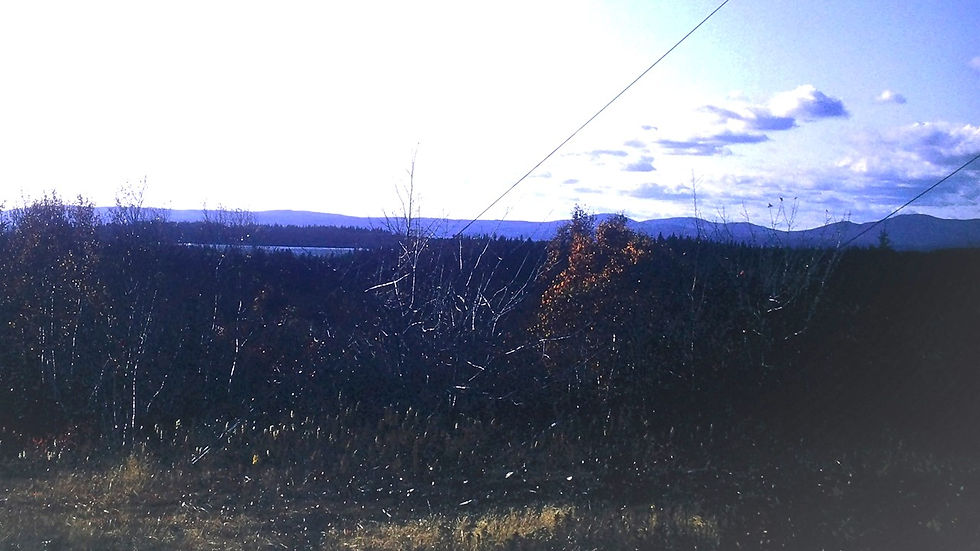 Long Island, New York - Film processed Nov, 1964 (11)