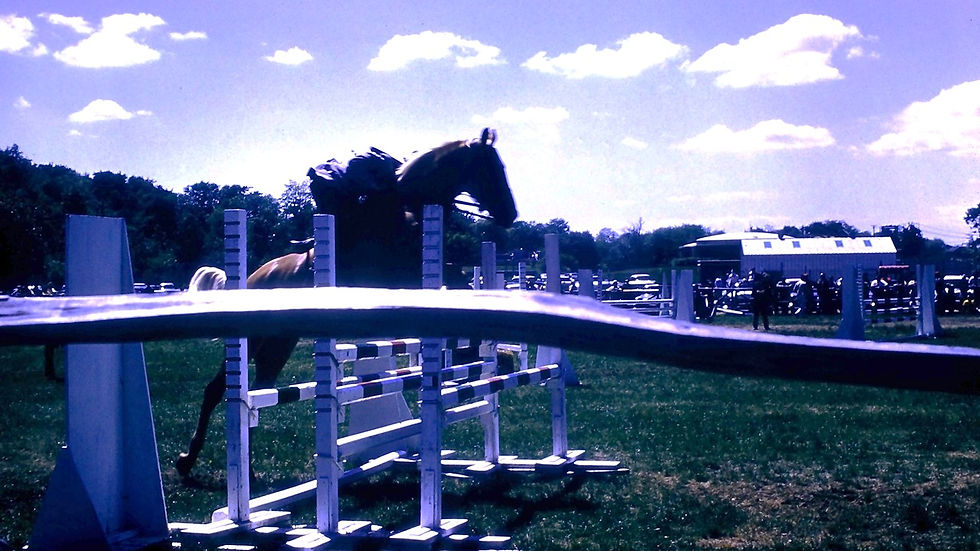 Horse jumping hurdle - Film processed May, 1959