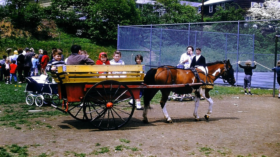 Horse & Wagon Rides - Film processed May, 1960