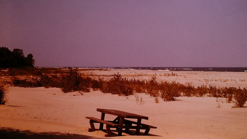 Location unknown - Film processed Nov, 1962 (6)