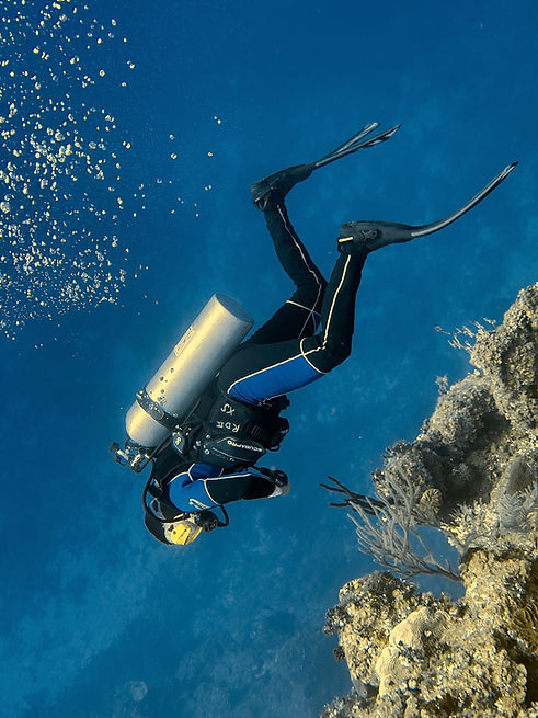 Tracy diving for website.jpg