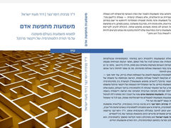 משמעות