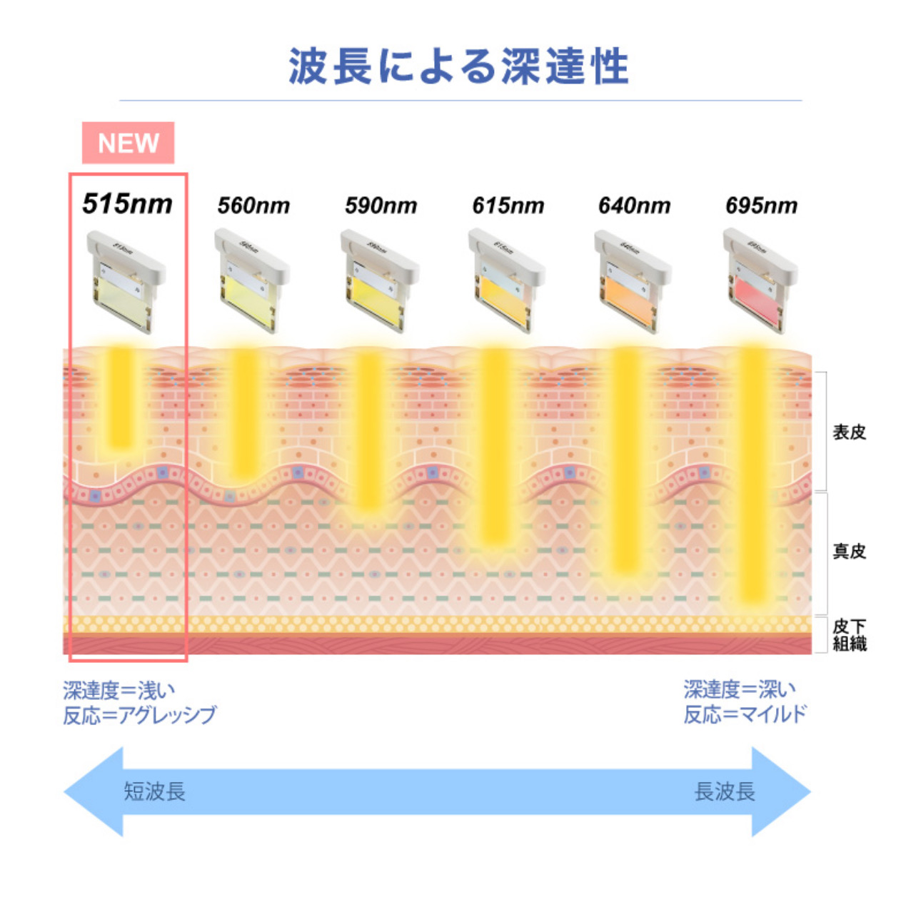 波長による深達性