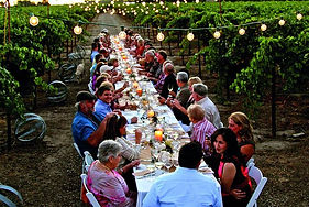 culinary-experience-vineyard-italy.jpg