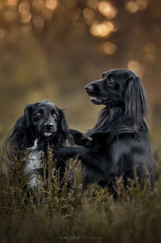 Twee Markiesjes fotoshoot