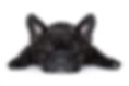 iStock-479477324.jpg