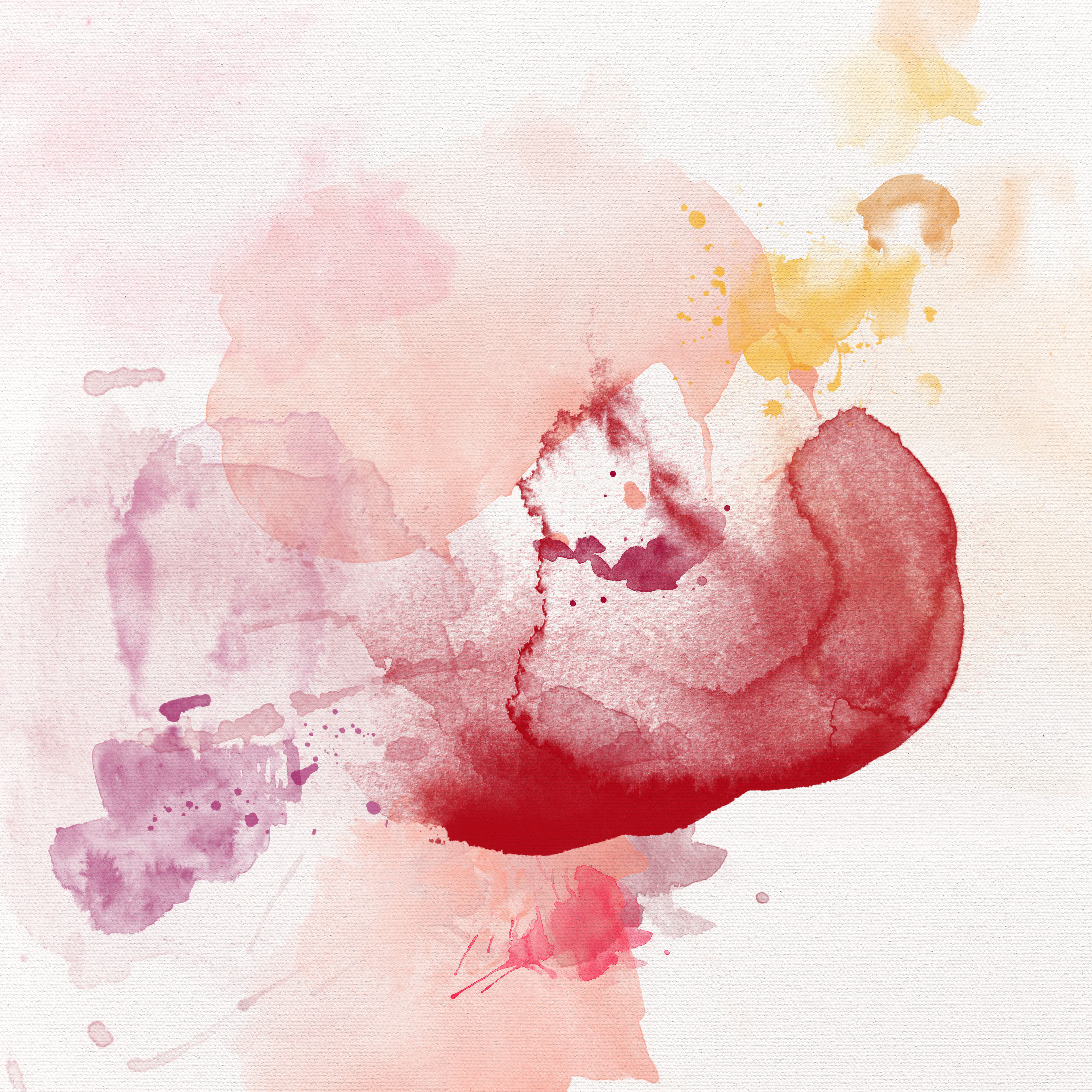 n°67 "Une reine parmi les fleurs"