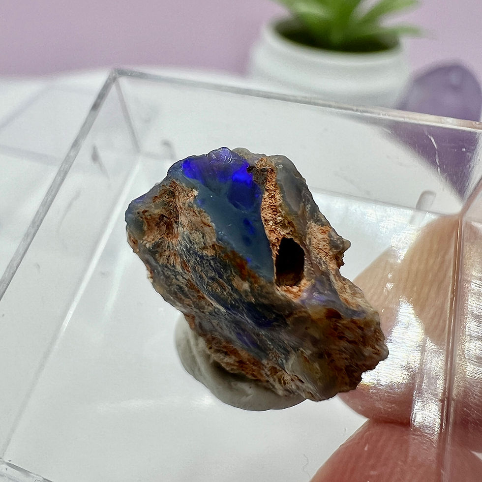 Opal Australia nobil
