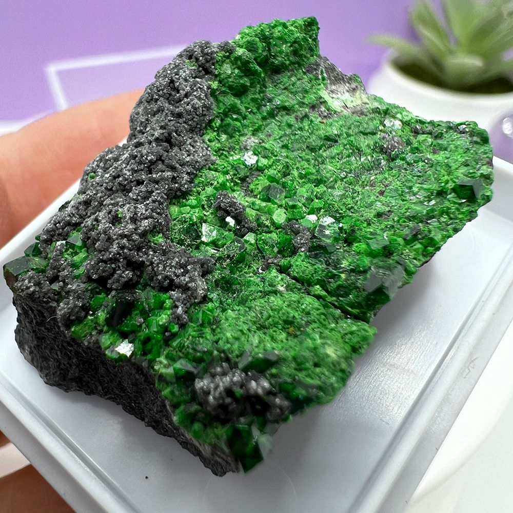 Mineral Uvarovit cristale granat rar pentru colectie