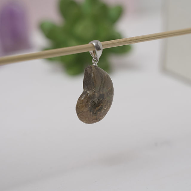 Bijuterii amonit fosila. Pandantiv cu Amonit opalizat argint