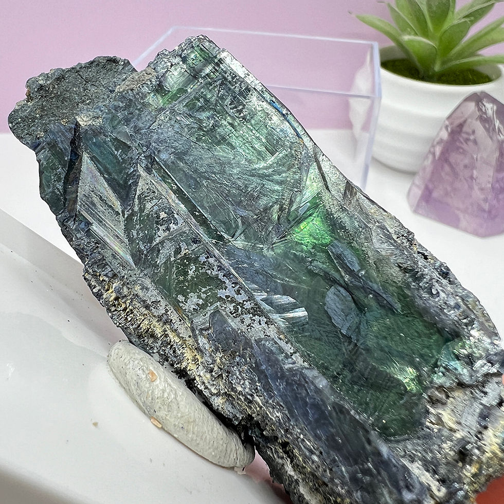 Mineral Vivianit unicat si cutie pentru colectie