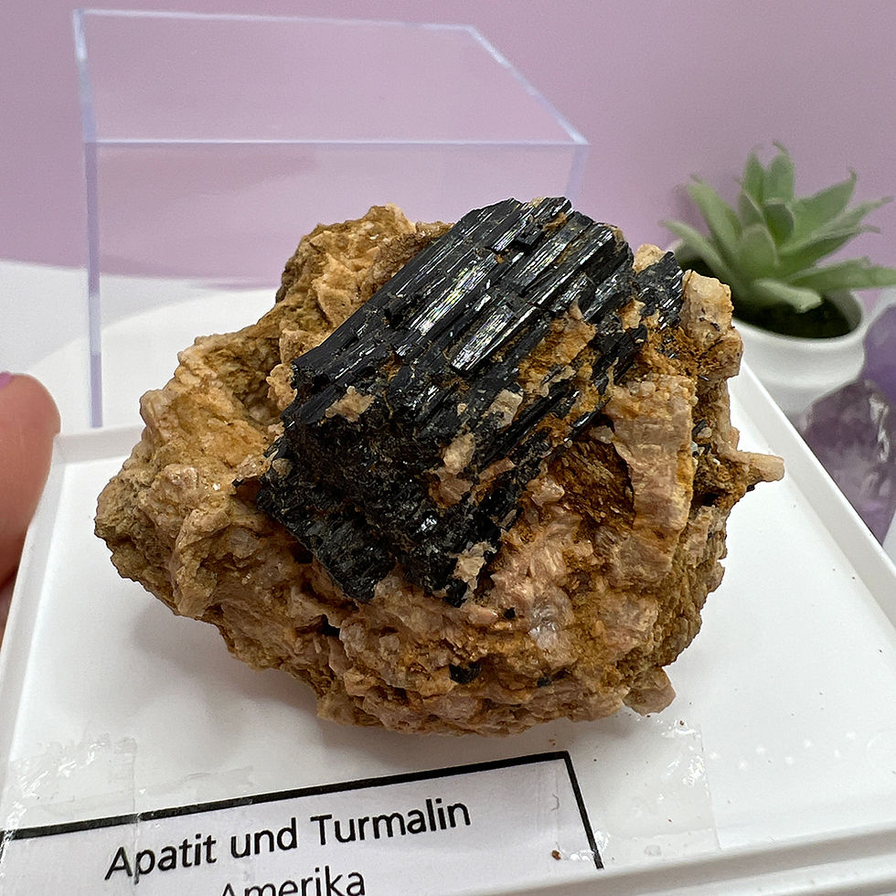 Miniatură: Turmalin negru cu Apatit mineral unicat de colectie