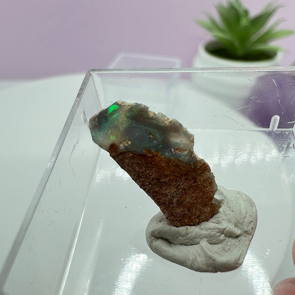 Opal nobil Australia