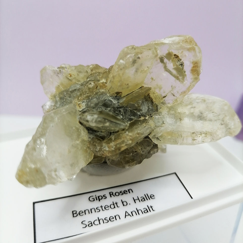 Gips trandafir mineral de colectie