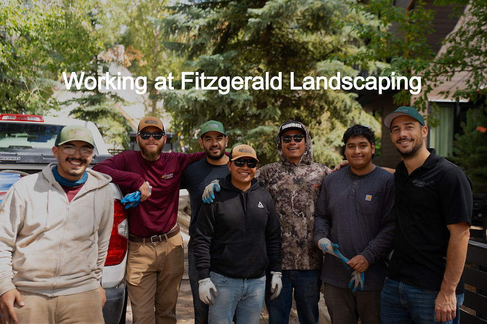 Working at Fitzgerald Landscaping_edited.jpg