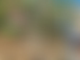 Οικόπεδο-χωματερή