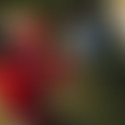 Μεγάλη επιτυχία η «Λευκή Νύχτα» στη Νέα Σμύρνη (φώτος)