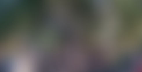 Πλήθος κόσμου στη γιορτή Υιοθεσίας Αδέσποτων στην Πλατεία της Νέας Σμύρνης