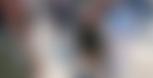 Πλήθος κόσμου στη γιορτή Υιοθεσίας Αδέσποτων στην Πλατεία της Νέας Σμύρνης