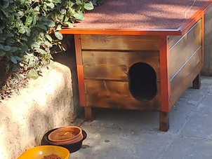 Ο Δήμος τοποθετεί γατοσπιτάκια για τα αδέσποτα σε διάφορα σημεία της πόλης