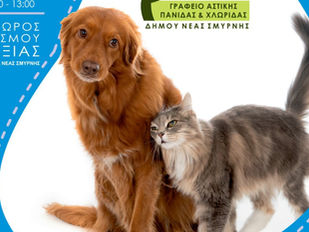 Υιοθετήστε ένα αδέσποτο ζωάκι στην Πλατεία Νέας Σμύρνης