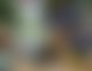 Πραγματοποιήθηκε επιτυχώς το 2ο Pet Day στον Γαλαξία