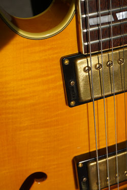 Burny RSA 345 Custom Order