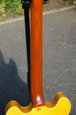 Burny RSA 345 Custom Order