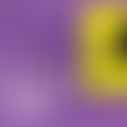 AUDITION CALL: The Ghost of Violet Shaw