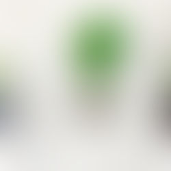 Macrame Plant Holder