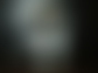 Пост первый, ознакомительный, и конечно про слонов :)