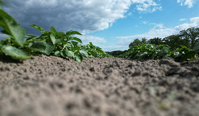 DJI_0261.JPG