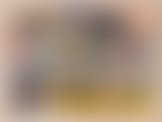 Fund for the Public Interest: Canvass Director, DC Office