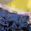 Thumbnail: 13x4 Transparent Swiss Lace Frontal 14 inch