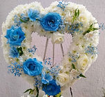 IMG_20200808_160558055.jpg