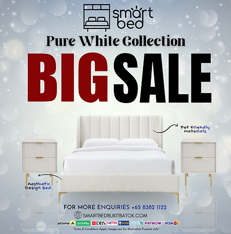 WHITE BEDFRAME ADS - BB ADS.png
