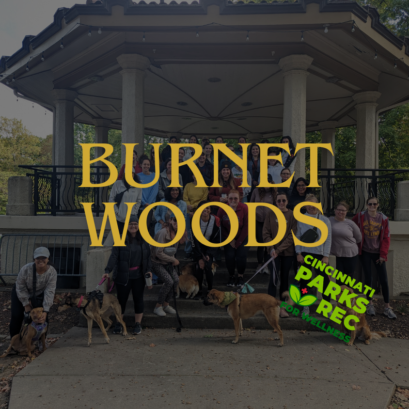 Cincy Girls Who: Walk Burnet Woods