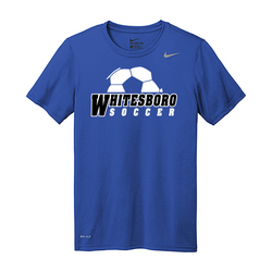 DV7299 Nike Team rLegend Tee 15dollars Royal