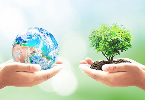 earth-tree.jpeg