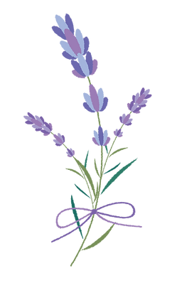 ラベンダーイラスト.png