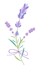 ラベンダーイラスト_edited_edited.png