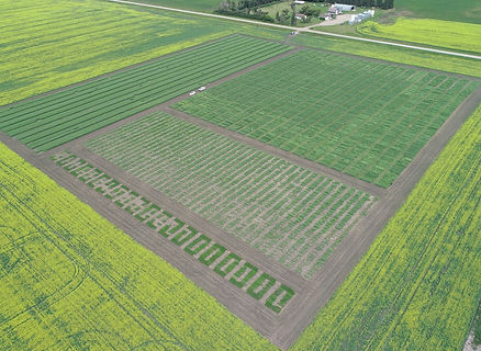 Canada trials_arial.jpg